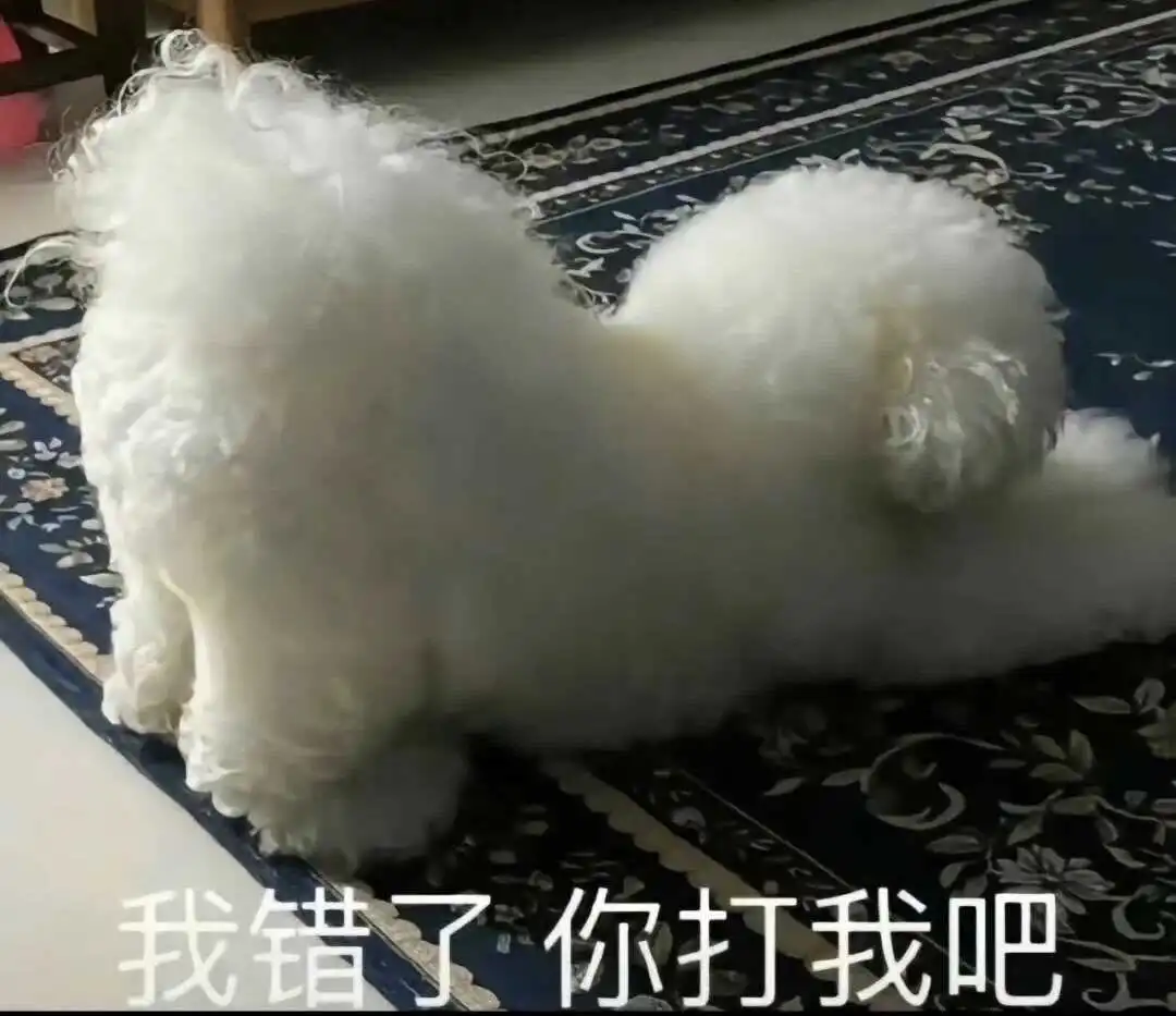 西檬之家-Dirty talk是什么？字母圈新人入圈指南