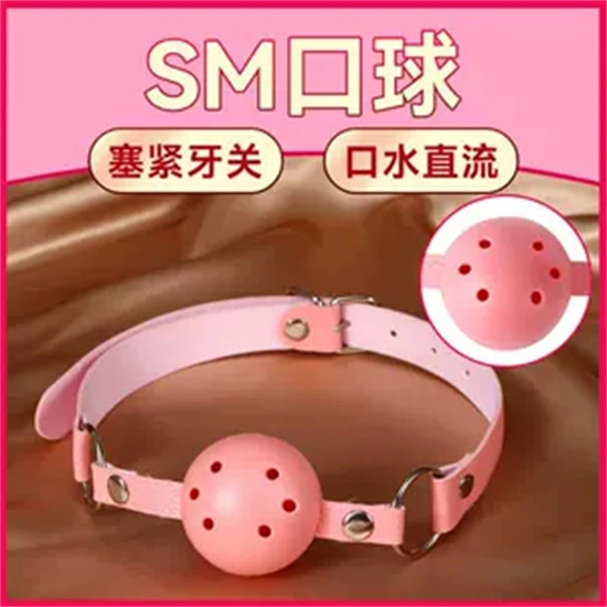 西檬之家-字母圈新人入圈指南：s属性与核心术语解析