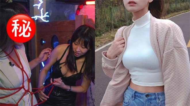 【西檬之家】K9是什么？详解字母圈中的犬系角色扮演