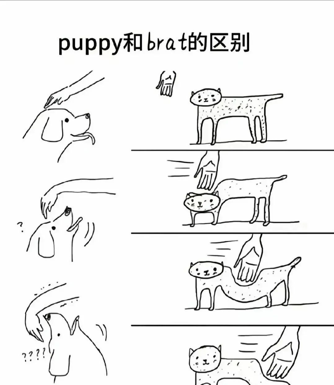 【西檬之家】字母圈新人入圈指南：斯慕圈的安全与伦理