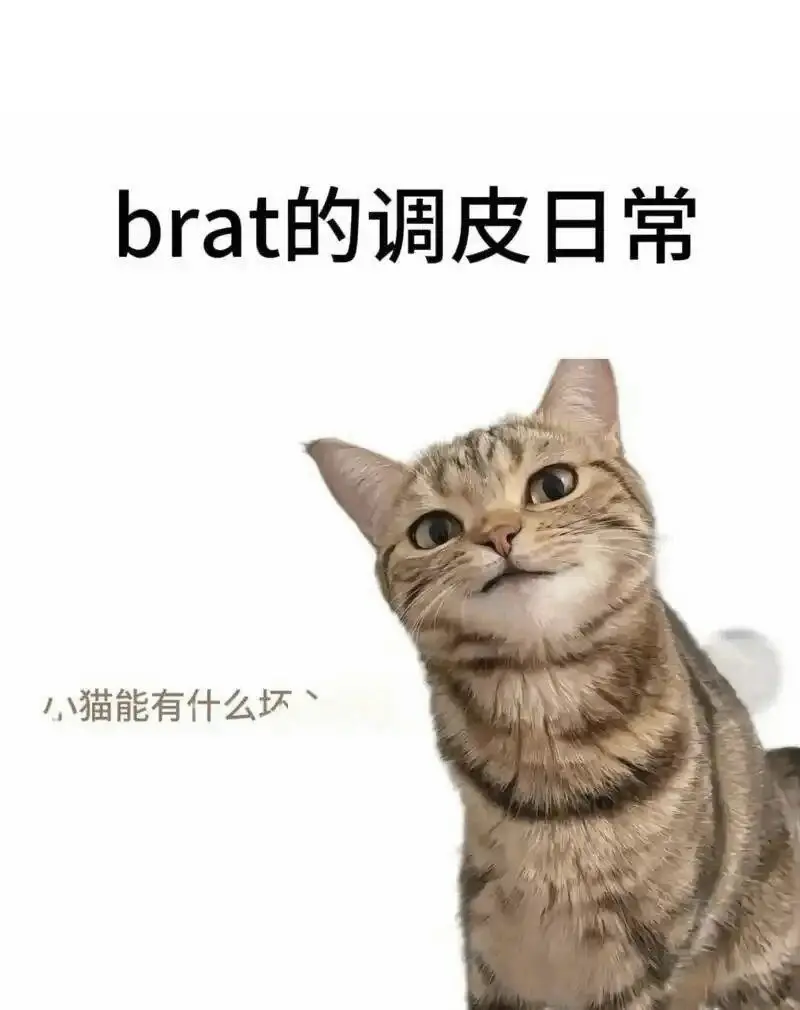 西檬之家 新人入圈指南：从字母圈理解BDSM核心术语