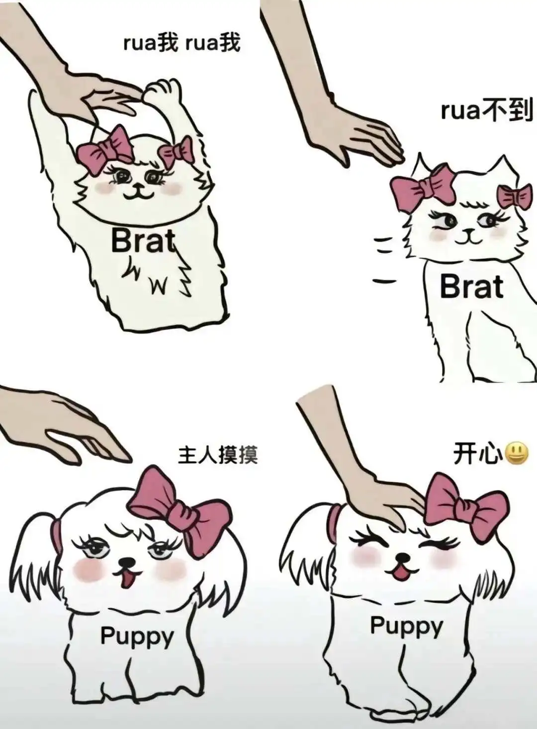 西檬之家-大圈新人入圈指南