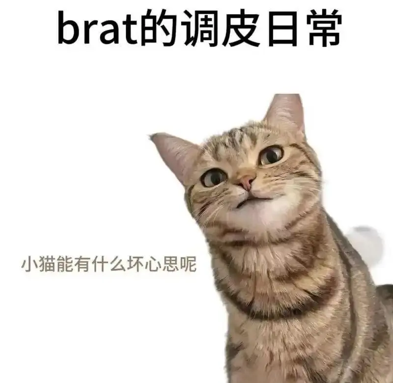 西檬之家-字母圈新人如何理解BDSM文化